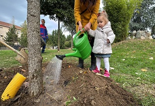 KÂĞITHANE’DE DOĞAN HER BEBEK İÇİN BİR FİDAN TOPRAKLA BULUŞUYOR